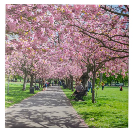 さくらんぼ瓦 タイル (正面)