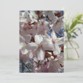 さくらんぼ空白の桜ツリーカード (スタンド正面)