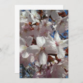 さくらんぼ空白の桜ツリーカード (正面/裏面)