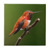 さくらんぼ素晴らしの木の上のハチドリ タイル (正面)