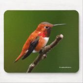 さくらんぼ素晴らしの木の上のハチドリ マウスパッド (正面)