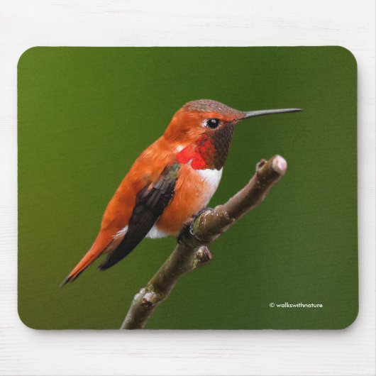 さくらんぼ素晴らしの木の上のハチドリ マウスパッド (正面)