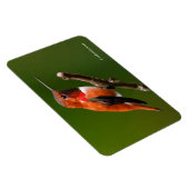 さくらんぼ素晴らしの木の上のハチドリ マグネット (右側)