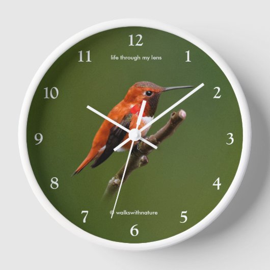 さくらんぼ素晴らしの木の上のハチドリ 壁時計 (正面)