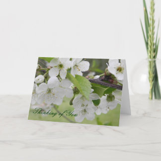 さくらんぼ考えの花 カード