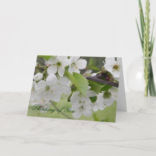 さくらんぼ考えの花 カード (正面)