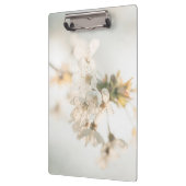 さくらんぼ自然写真 クリップボード (左)