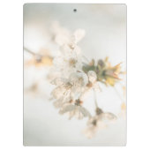 さくらんぼ自然写真 クリップボード (裏面)