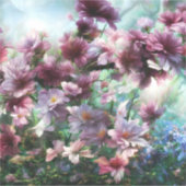 さくらんぼ花のスプラッシュ シール (正面)