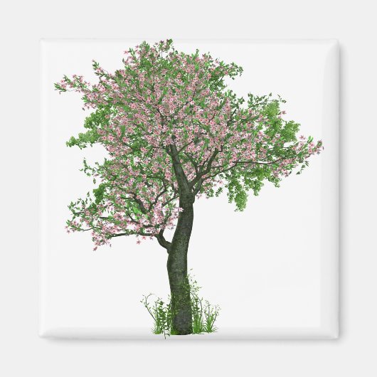 さくらんぼ花の木の枝葉 マグネット (正面)