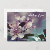 さくらんぼ花はがき1 ポストカード (正面/裏面)