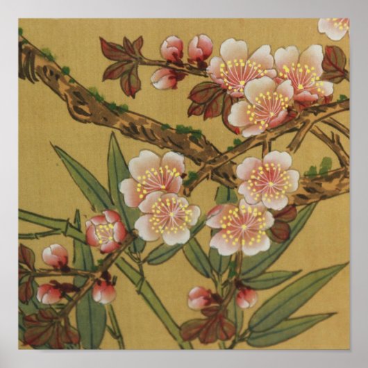 さくらんぼ花アジア日本の美術 ポスター (正面)