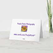 さくらんぼ花グリーティングカード カード (裏面)