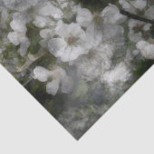 さくらんぼ花ティッシュペーパー 薄葉紙 (詳細)