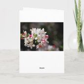 さくらんぼ花ハッピーバースデー カード (裏面)