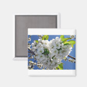 さくらんぼ花ハート マグネット (正面/裏面)