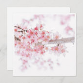 さくらんぼ花フローラフラットカード (正面/裏面)