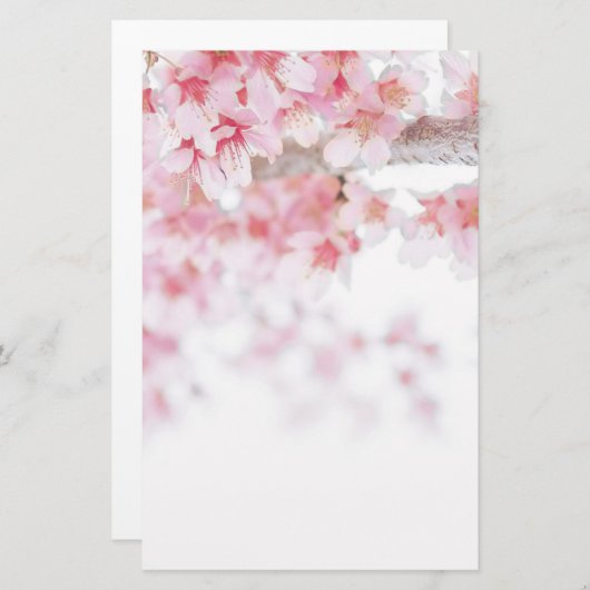 さくらんぼ花フローラ店 便箋 (正面/裏面)