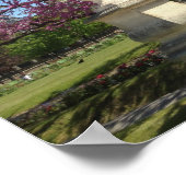 さくらんぼ花ポスター紙（マット） ポスター (角)