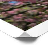 さくらんぼ花ポスター ポスター (角)