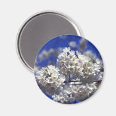 さくらんぼ花冷蔵磁石 マグネット (正面/裏面)