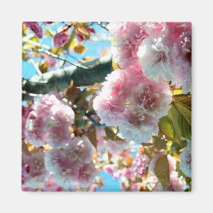 さくらんぼ花押し磁石 マグネット