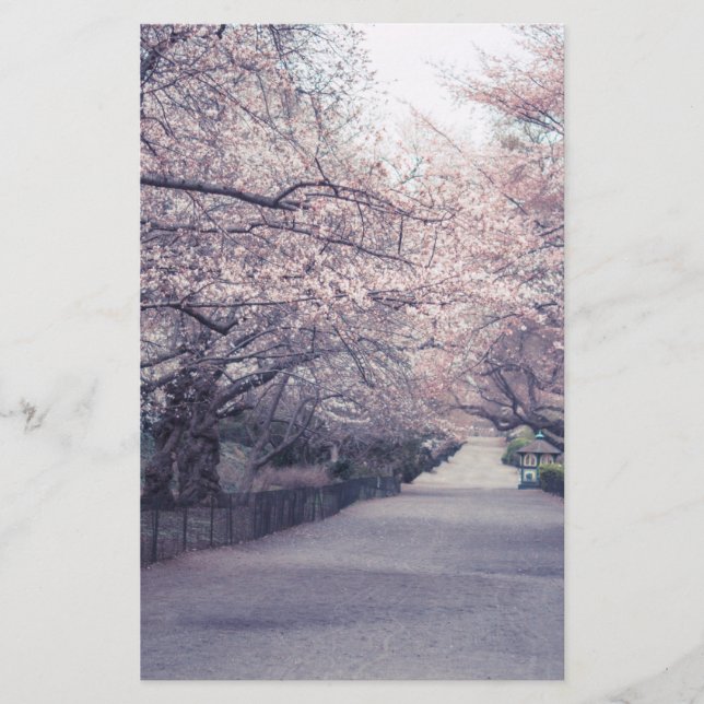 さくらんぼ花 (正面)