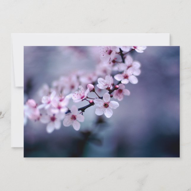 さくらんぼ花 (正面)