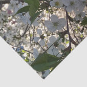 さくらんぼ花10lbティッシュペーパー、白 薄葉紙 (詳細)