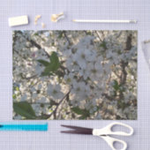 さくらんぼ花10lbティッシュペーパー、白 薄葉紙 (クラフト)