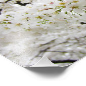 さくらんぼ花12プリント フォトプリント            (角)