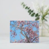 さくらんぼ花。ウェールズのハガキ ポストカード (スタンド正面)