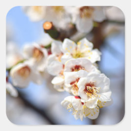 さくらんぼ花 スクエアシール