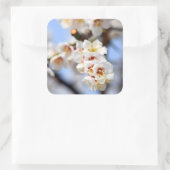 さくらんぼ花 スクエアシール (バッグ)