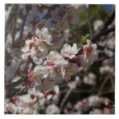 さくらんぼ花 タイル (正面)