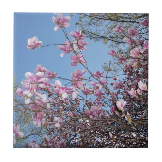 さくらんぼ花 タイル (正面)