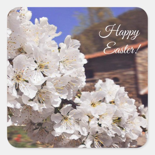 さくらんぼ花。ハッピーイースター。 スクエアシール (正面)