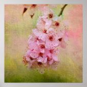 さくらんぼ花 ポスター (正面)