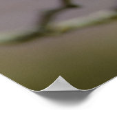 さくらんぼ花 ポスター (角)