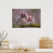 さくらんぼ花 ポスター (キッチン)