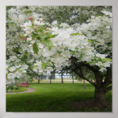 さくらんぼ花 ポスター (正面)