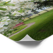 さくらんぼ花 ポスター (角)