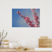 さくらんぼ花 ポスター (キッチン)