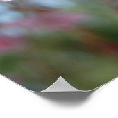 さくらんぼ花 ポスター (角)