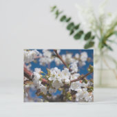 さくらんぼ花 ポストカード (スタンド正面)