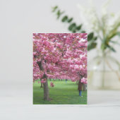 さくらんぼ花 ポストカード (スタンド正面)