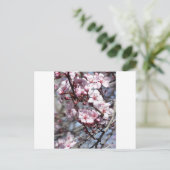 さくらんぼ花 ポストカード (スタンド正面)