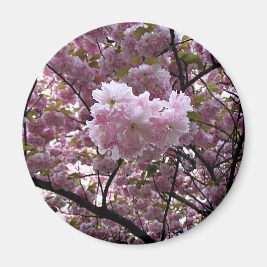 さくらんぼ花 マグネット (正面)