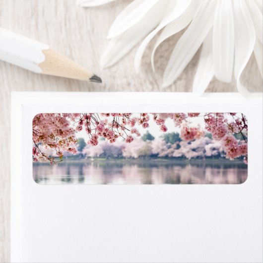 さくらんぼ花 ラベル (インサイチュ)