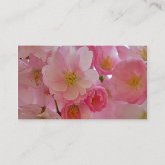 さくらんぼ花 名刺 (裏面)